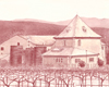 Peju Winery